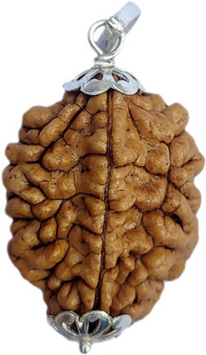 FLY PL STORE Lab Certified Natural 2 Mukhi Rudraksha Locket 2 Face Rudraksha Pendant Beads Silver Beads Wood Pendant