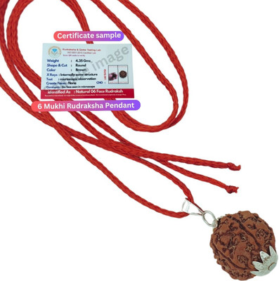 Kripalu store 6 Mukhi Nepali Rudraksha chhah Mukha six Face Mantra Siddha Rudraksh Silver Beads Brass, Wood Locket Set