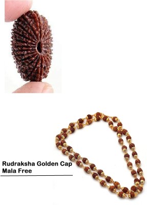 Ceylonmine01 21 Mukhi Rudraksha Beads With Rudraksha Golden Cap Mala Beads Wood