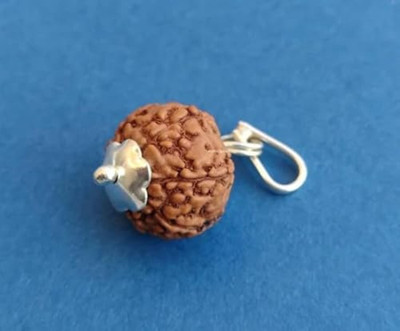 Beautum 8 MUKHI NATURAL INDONESIAN ORIGINAL RUDRAKSHA Wood Pendant