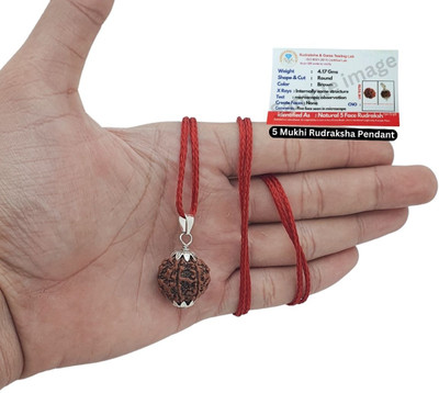 JagatguruShop 5 Mukhi Rudraksha five Faced panch Nepali Rudraksh Bead Original and Certified Silver Beads Brass, Wood Locket