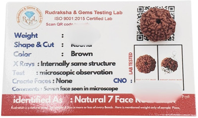 Astro Gayan seven Mukhi Oval Rudraksha with Original 7 Mukhi Rudraksha Wood Pendant