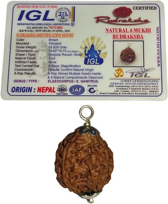 Shree Shankham 4 Mukhi Rudraksha Original Certified | by Shree Shankham | Wood