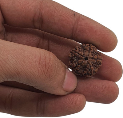BHAKTI Kripalu Store Original 5 Mukhi/Faced Rudraksha Five-Faced Orignal Pendant For Unisex Beads Wood Locket Set