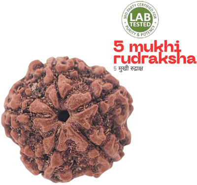 JagatguruShop 5 Mukhi Rudraksha Certified/Original 5 Mukhi Rudraksh/Natural 5 Faced Rudraksha Wood Locket