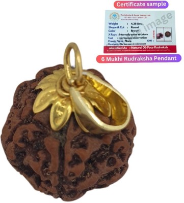 AstroVidhanart Certified 6 Mukhi Nepali Rudraksha Pendant for Unisex (22mm, Brown) Gold-plated Beads Brass, Wood Pendant Set