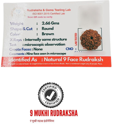 HAPPY CREATION Rudraksha Original Certified Java Indonesian Bead by Shree Rudraksham Beads Wood Pendant