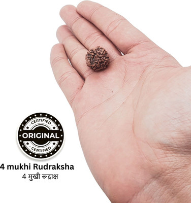SukhadParivar Rudraksha 4 Mukhi Nepali Rudraksha Certified 4 Faced Rudraksha for Men and Women Wood Locket Set