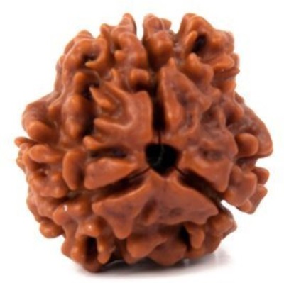 Beautum Original 3 mukhi nepali rudraksha for men and women Wood Pendant