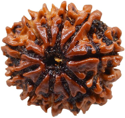 Jewelswonder 11 Mukhi Rudraksha Original NEPAL Certified 20.21mm | Eleven Face Rudraksh Bead Wood Locket