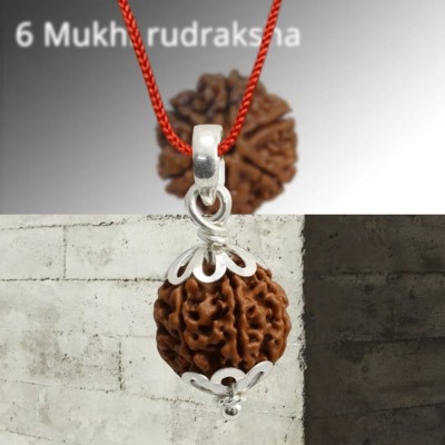 avi rudraksha 10 mukhi Rudraksha Wood