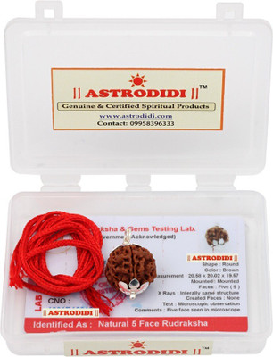 Astrodidi 5 Mukhi Nepali Rudraksha Five Face Original Real Rudraksha with Lab Certificate Silver Silver Pendant
