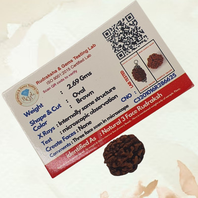 Guruji Imitation Company 3 Mukhi Rudraksha Pendant Nepali Certified Beads Wood Locket
