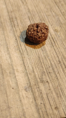 Shivtantra Pure Natural Nepali 9 Mukhi Rudraksha With 5 Mukhi Nepali Beads Wood Pendant