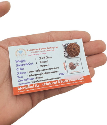 Human Collections 8 Mukhi/eight Face Rudraksha Beads Wood Locket Set