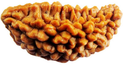 DIVINE SOUVENIRS 1 Mukhi Rudraksha Natural Lab Certified (Ek Mukhi Rudraksha Silk Dori Pendant