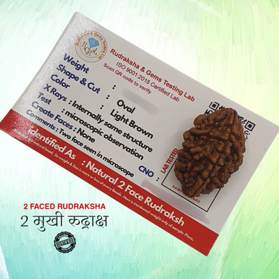 lisa vorce 2 Mukhi/Faced Nepali Rudraksha with Silver Pendant | Natural & Certified Beads Wood Locket Set