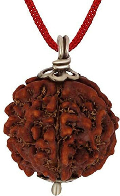 Riingzinee 5 Mukhi Nepali Rudraksha Panch Mukha Five Face Mantr Wood