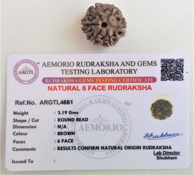 jupiter speaks Lab Certified 6 Mukhi Rudraksha Nepal (Six Faced Rudraksha Bead) for Men & Women Wood Pendant