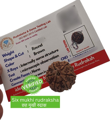 Hindustan Jewellery Brown Wood 6 Mukhi /6 Face Rudraksha with Lab Certificate for Men and Women Beads Wood Locket