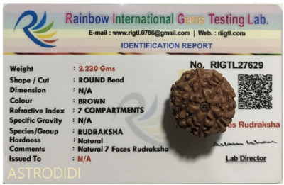 Astrodidi 7 Mukhi Java Rudraksha Seven Face Rudraksha Java Small Size Lab Certified Wood Pendant