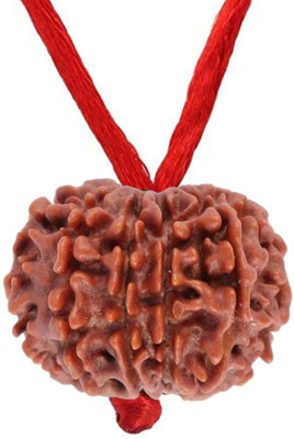 Gemsonclick Original 10 Mukhi Indo Rudraksha With Red Thread at Wholesale Rate Beads 1 Pcs Sterling Silver Wood