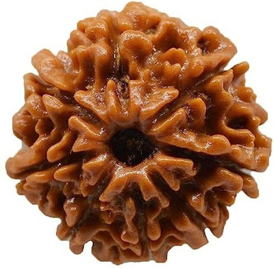 YashShreeRatnam 8 Mukhi Rudraksha 8 Faced Nepali Rudraksh Bead(Vastu Dosh Nivaran Yantra Free) Wood Pendant