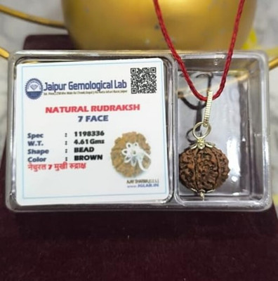 A & S VENTURES 7 mukhi card Original Nepali Rudraksha Wood Locket Set