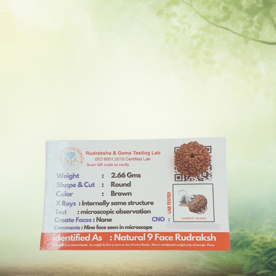 robbanmant 9 Mukhi Rudraksha Original Java Indonesian | nine Face Rudraksha Beads Wood Locket