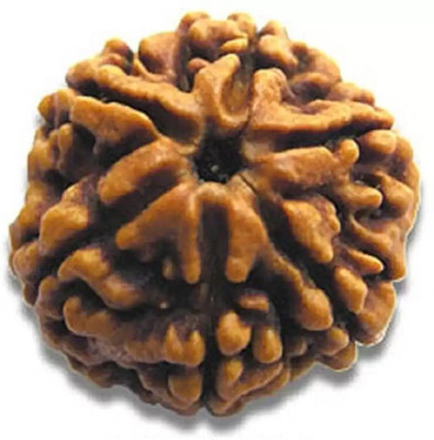 Chopra Gems Six Mukhi Rudraksha Certified/Original Rudraksh Natural 6 faced Rudraksha Brass
