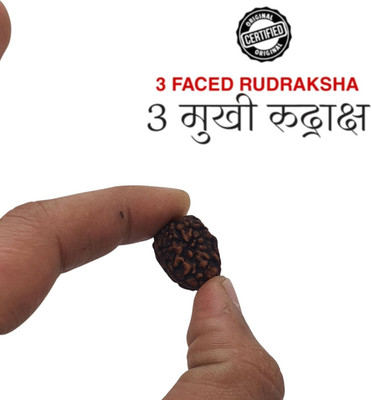 SukhadParivar 3 Mukhi Rudraksha Pendant and Bracelet | Nepali three Face Pendant Wood Locket Set