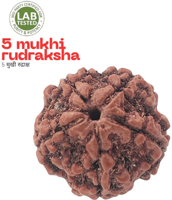 Hindustan Jewellery Original Nepali Five Faced / 5 Mukhi Rudraksha Bead Beads Wood Locket