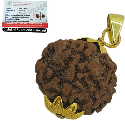 JagatguruShop 5 Face Rudraksha Bead | LORD SHIVA Rudraksha Beads | Rudraksha Pendant Gold-plated Beads Brass, Wood Locket Set