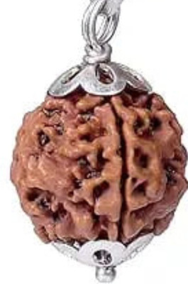 Rudraksham 4 Mukhi Nepali Rudraksha Pendant Lab Certified Original Rudraksha Pendant Wood Pendant