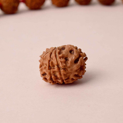 Satvik Certified 8 Mukhi Nepali Rudraksha Bead for Men and Women – Lab Tested Beads Wood