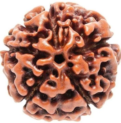 Rudraksham 5 Mukhi Original Nepali Rudraksha (Pack Of 10) With Certificate Of Authenticity Zircon Wood Pendant