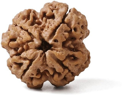 GEMSMANTRA 4 Mukhi Rudraksha Without Pendant Medium Original Nepali Natural & Lab Certified Wood