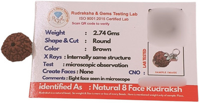 House Spiritual ENTERPRISE Pure 8 Mukhi Java Indonesian Rudraksha Original eight faced rudraksha Wood Pendant