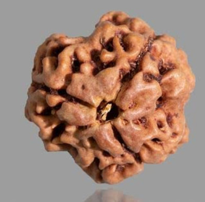 Beautum 3 Mukhi Rudraksha Three Face Rudraksha Nepali Rudraksha Code:3 Wood Pendant