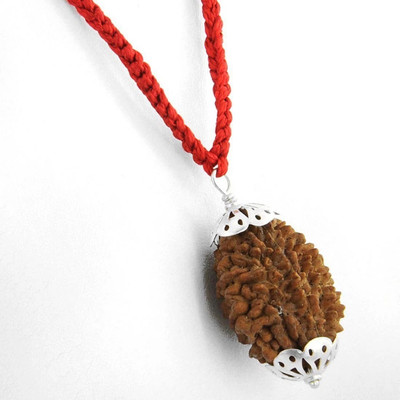 DIVINE SOUVENIRS 2 Mukhi Rudraksha Silver Beads Wood Pendant