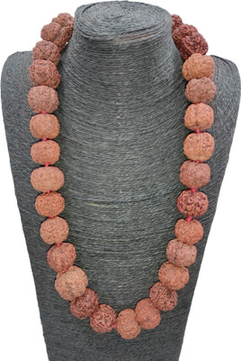 Nepali Rudraksha 7 Face Rudraksha Original IGL Certified | Original Seller Nepali Rudraksha | Mother of Pearl