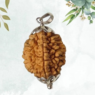 Fine Creation Rudraksha 2 Mukhi Nepali Rudraksha Certified 2 Faced Rudraksha for Men and Women Silver Wood Pendant