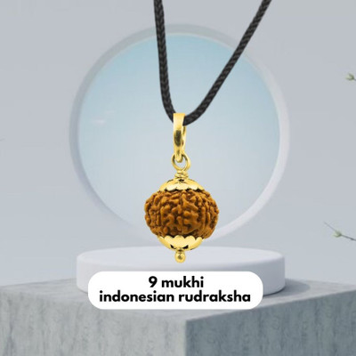 Fine Creation 9 Mukhi indonesian Rudraksha Pendant for Men and Women, 9 Faced Rudraksha Gold-plated Brass Locket