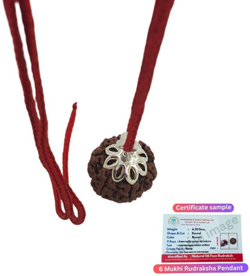 Bharat Collection 6 Mukhi Nepali Rudraksha six Face Rudraksh With Original Quality Silver Beads Brass, Wood Locket Set