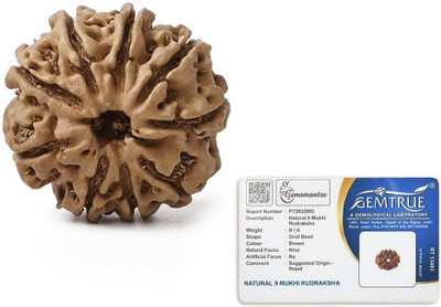 GEMSMANTRA 9 Mukhi Rudraksha Bead Without Pendant Medium Nepali Natural & Lab Certified Wood