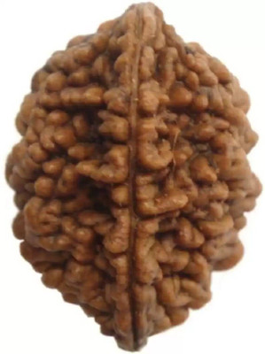 leahyallen Online Natural Certified Two Mukhi Rudraksha Beads Pendent Beads Wood