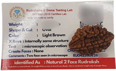 Astro Gayan 2 Faced Mukhi Rudraksha/ two-Faced Orignal Pendant For Unisex Beads Wood Pendant