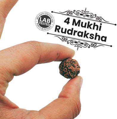 Green Ellegent Locket 4 Mukhi / 4 Face Rudraksha Original Certified Plated Beads Wood Pendant Set