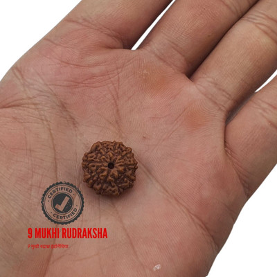 Nirvana Mukhi Lab Certified Natural 9 Mukhi Rudraksha Locket 9 Face Rudraksha Pendant Beads Beads Wood Locket