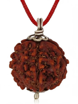 RUDRA UNIVERSE 5 Mukhi Rudraaksh Nepali Origin 20mm Plus size Wood Pendant